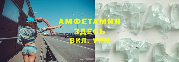 стаф Алексин