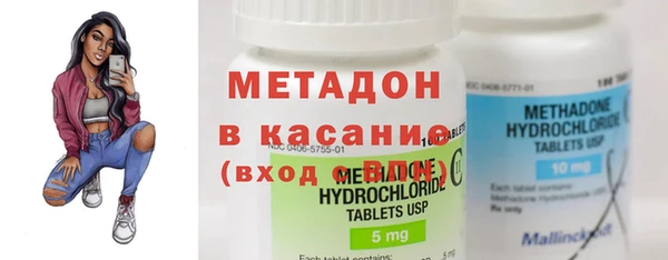 стаф Алексин