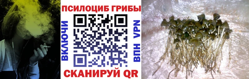 Галлюциногенные грибы мицелий Керчь