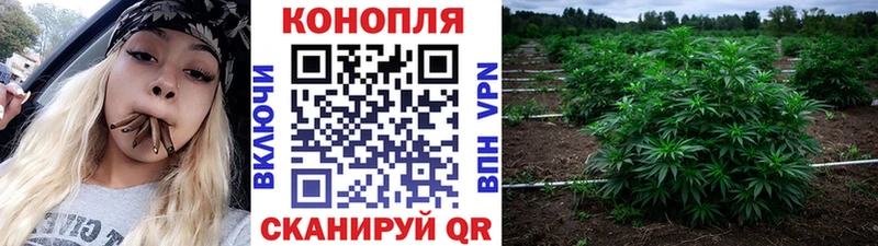 закладки  hydra сайт  Конопля семена  Керчь 